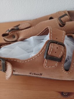 Schol - 6