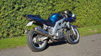 Suzuki SV 1000 - 6