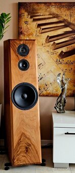 Scan-speak Discovery Troels - 6