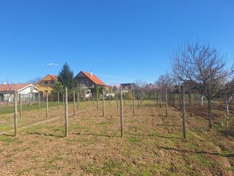 Predaj priestranného 4i RD s garážou, altánkom a veľkou záhr - 6