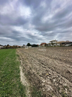 Stavebný pozemok 4702 m² v obci Trstice, Galanta - 6