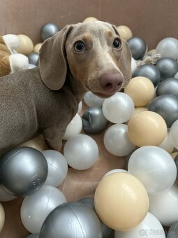 Detský suchý bazén 90cm - 6