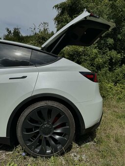 Tesla Model Y Performance 393 kW - 6