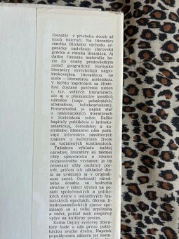 Dejiny svetovej literatúry 1 a 2 - kolektiv autorů - 6