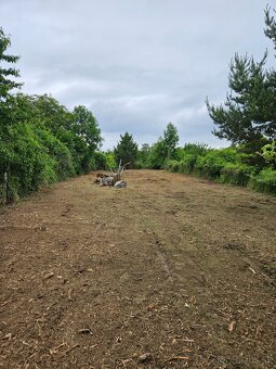 Čistenie pozemkov od naletovych drevín lesná fréza - 6