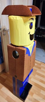 Kostým na karneval - 6