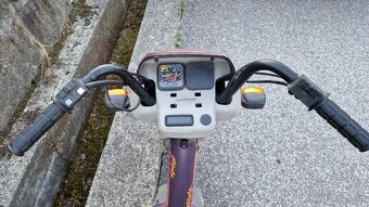 Atala Master LF 2M - motor RIZZATO - 6
