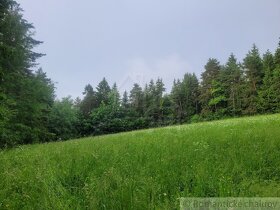 Rekreačný pozemok uprostred lesa pri Považskej Bystrici - 6