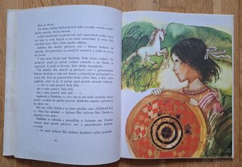 Kam chodia na zimu zmrzlinari - 6