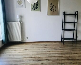 Pokojné bývanie pri lese a jazere – 1-izbový apartmán v Rezi - 6