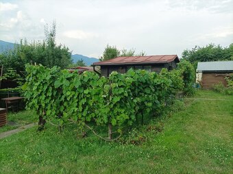 Záhrada s chatkou - 6