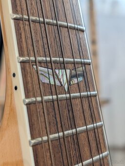PREDÁM TAKAMINE GJ72CE-12-NAT (12 strunová) - 6
