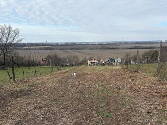Stavebný pozemok s jedinečným výhľadom – Levice, - 6
