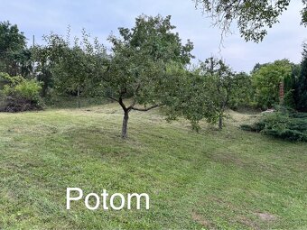Kosenie veľkých plôch krovinorezom,traktorom,mulčovanie. - 6