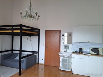 VEĽKÁ IZBA s vysokým stropom - 6