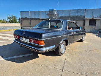 Mercedes-Benz W123 230C - 6
