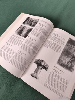 Gotické umenie z košických zbierok - 6