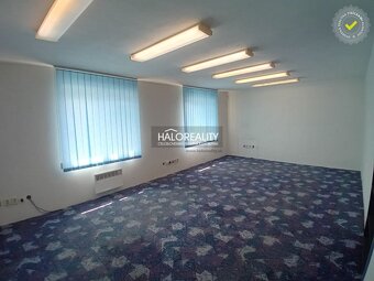 HALO reality - Prenájom, administratívny priestor Veľký Krtí - 6