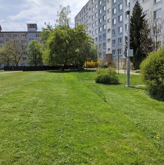 Starostlivosť o zeleň,výrub stromov, pilčícke práce, kosenie - 6