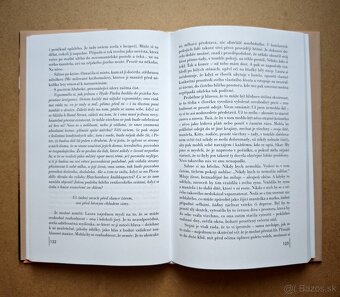 Michael Cunningham: HODINY - 6