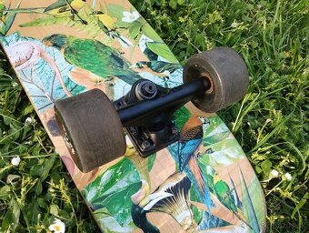 Landyachtz Rally Cat Paradise cruiser longboard skate board - 6