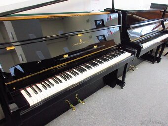 luxusný Steinway and Sons pre solventných - 6