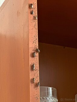 DERATIZÁCIA, DEZINFEKCIA, DEZINSEKCIA - 6