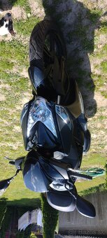 125cm - 6