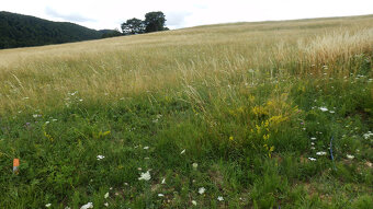 Exkluzívne na predaj – stavebný pozemok v Blatnici, časť Seb - 6