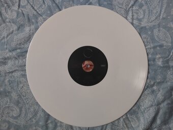 Aurora - The Gods We Can Touch (Vinyl, LP, Platňa) (White) - 6