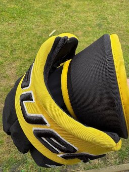 Bauer - Ultrasonic - 6