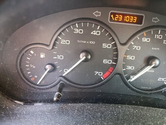 Peugeot 206 - 6