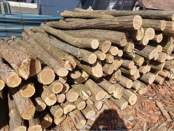 Tvrdé a mäkké suché palivové drevo - 6