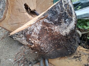 ČEREŠNOVÉ DREVO,NAREZANE NA PLATY KUS/30 EUR - 6