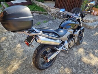 HONDA Hornet CB600F - 6