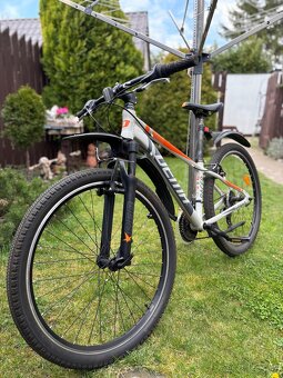 Dema Racer “26” - 6