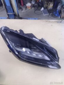 Jaguár - 6