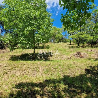 Na predaj rekreačný pozemok 2 920 m², Nové Mesto nad VáhomLo - 6