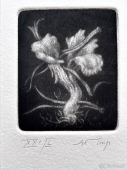 Konstantin Chmutin - 6