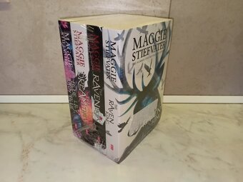 Anglicke citanie pre dospelakov - 6