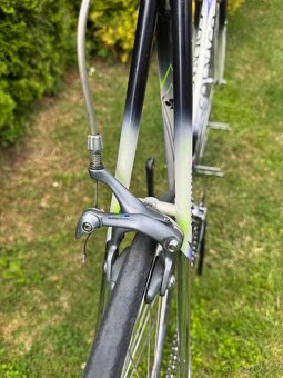 Colnago Tecnos Art Decor - 6