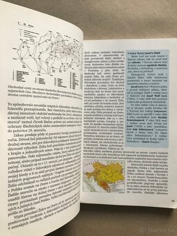 Zločiny komunizmu, Židia v Trstenej, Idea Československého s - 6