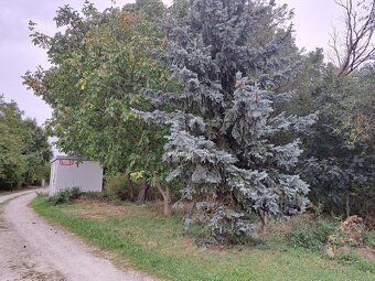PinkyReal – ponúka investičný pozemok s rozlohou 5922 m2 - 6
