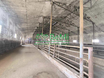 Znížená cena Skladovacie priestory výrobná hala Na predaj - 6