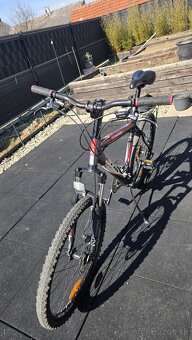 CTM Terrano 4.0 26" - 6