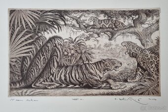 Peter Kľúčik - grafiky. - 6