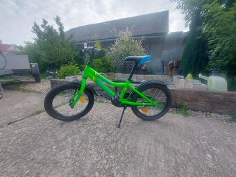 Kenzel lime 16 - 6