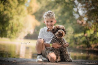 Lagotto Romagnolo s PP - 6