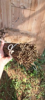 Levandula - dlhé sušené zväzky - 6