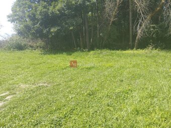 Predaj pozemok 720m2 (41mx17m) Pavčina Lehota-Liptovský Mi - 6